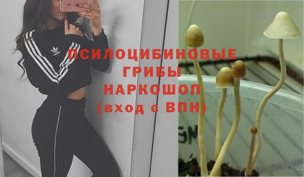 прущая мука Алексин
