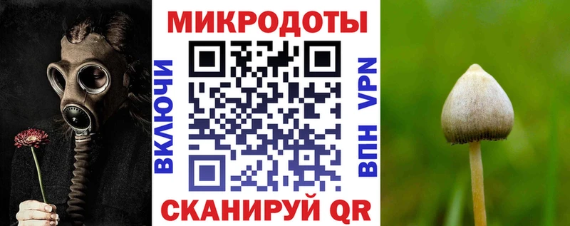 как найти закладки  Кропоткин  ОМГ ОМГ tor  Псилоцибиновые грибы Magic Shrooms 