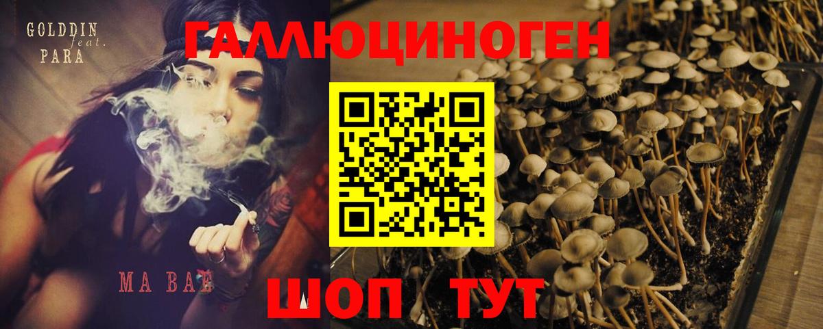 Галлюциногенные грибы GOLDEN TEACHER Кропоткин