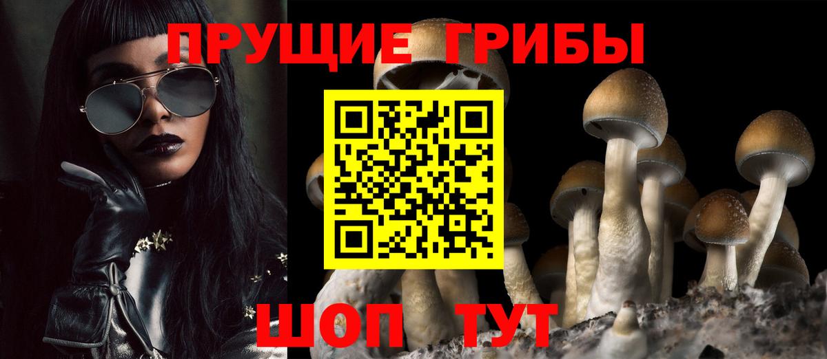 Псилоцибиновые грибы Magic Shrooms  Псилоцибиновые грибы мухоморы  Вход с VPN  Кропоткин 