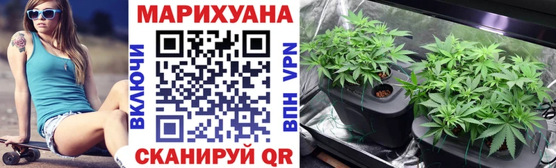 Конопля Bruce Banner Кропоткин